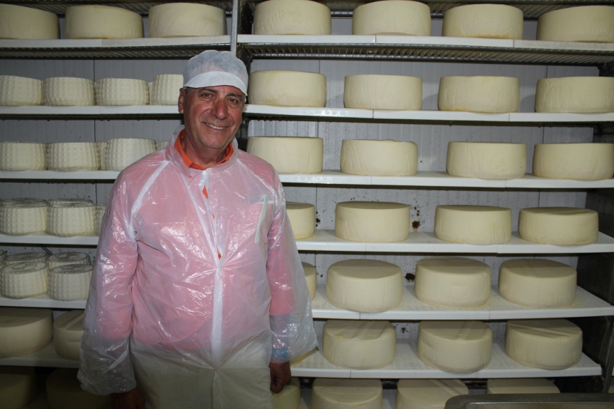 Modern Cheese Making in Greek Islands